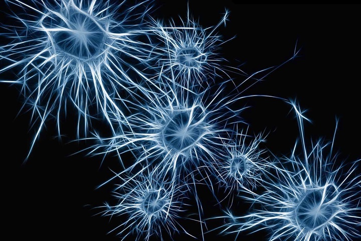 神经网络如何学习分布式的表示