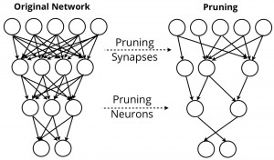 1400px-deep-learning-pruning-e364929c408ef33d5cf69473024a7d7e