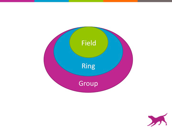 Field_Ring_Group_v2-145b9ef0ff33f0e16c8d01c0e7c861a3