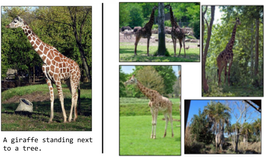 image-05-af8ab207e1291331af004f7c73db1eae