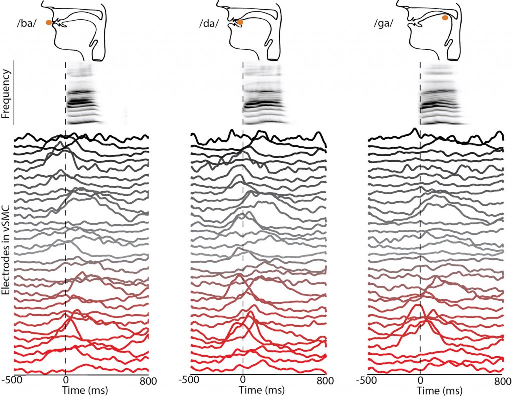 Final_Figure_11-f7e481154f5e78b5e64087cfe3c63efd